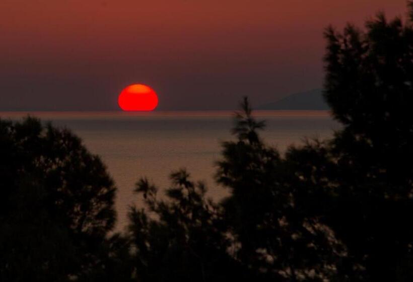 شقة غرفة نوم واحدة مطلة علي البحر مزوَّدة بشُرفة, Aparthotel Pecic