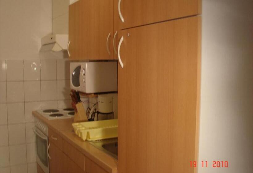 إستديو قياسى مزود بشرفة, Aparthotel Pecic