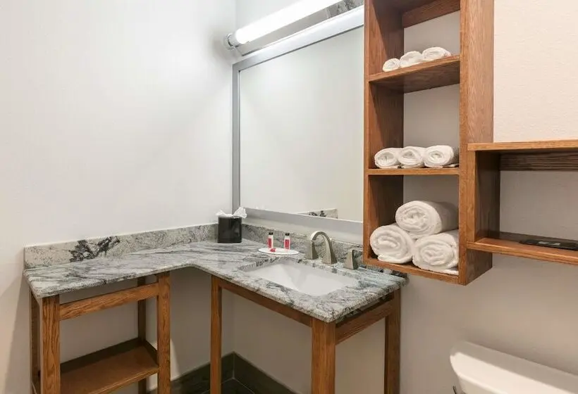 Standard-studio, Days Inn & Suites By Wyndham Lubbock Medical Center