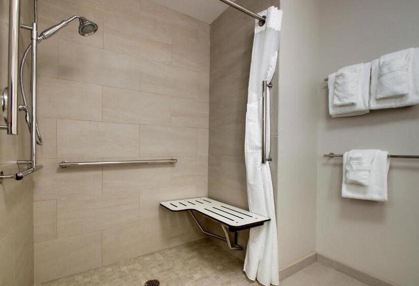 장애인을 위한 킹사이즈 침대 스탠다드 룸, Holiday Inn Express & Suites   Elizabethtown North, An Ihg