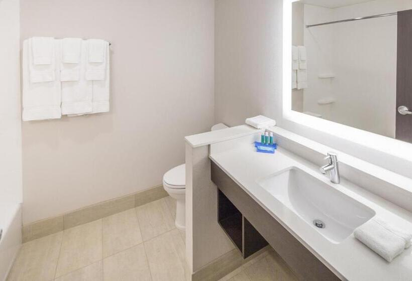 Номер Стандарт Кровать Кинг Адаптированный для Инвалидов, Holiday Inn Express & Suites   Indianapolis Nw   Zionsville, An Ihg