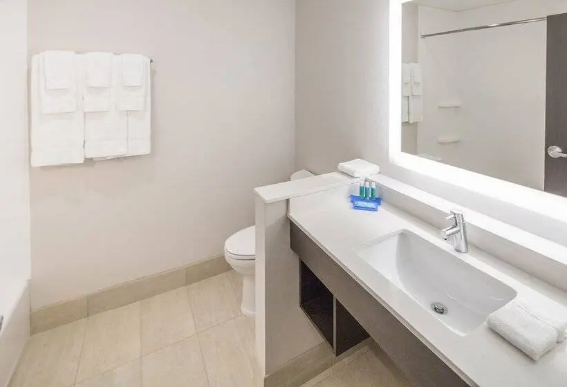 スイート, Holiday Inn Express & Suites   Indianapolis Nw   Zionsville, An Ihg