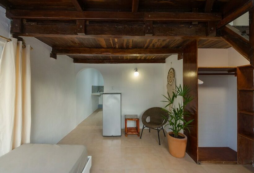 标准工作室, Caracol Puerto Morelos