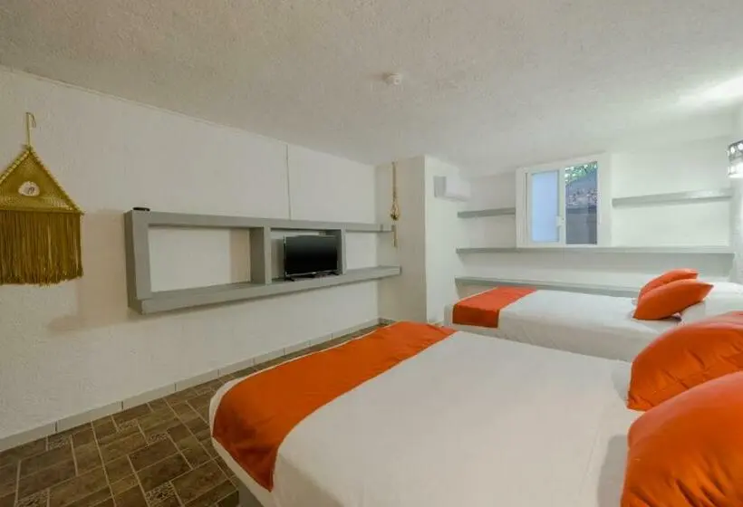 スタンダードルーム, Caracol Puerto Morelos