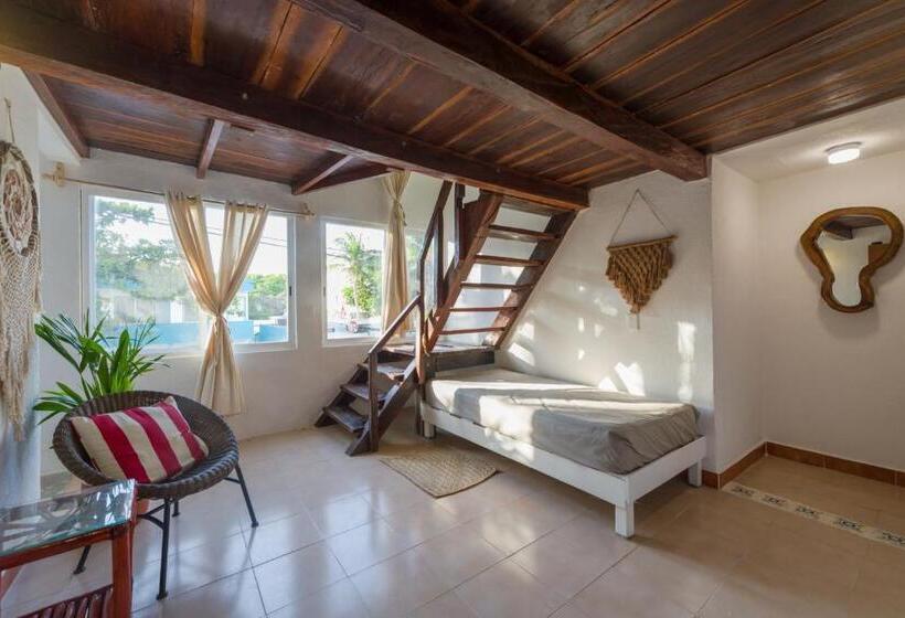 标准工作室, Caracol Puerto Morelos