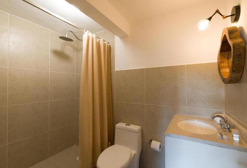 标准工作室, Caracol Puerto Morelos