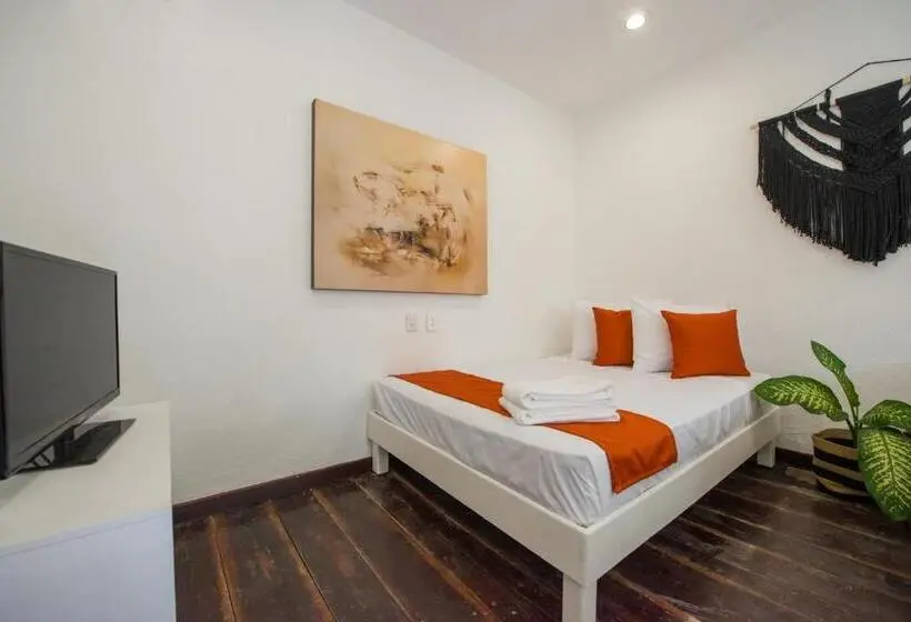 スタンダードスタジオ, Caracol Puerto Morelos