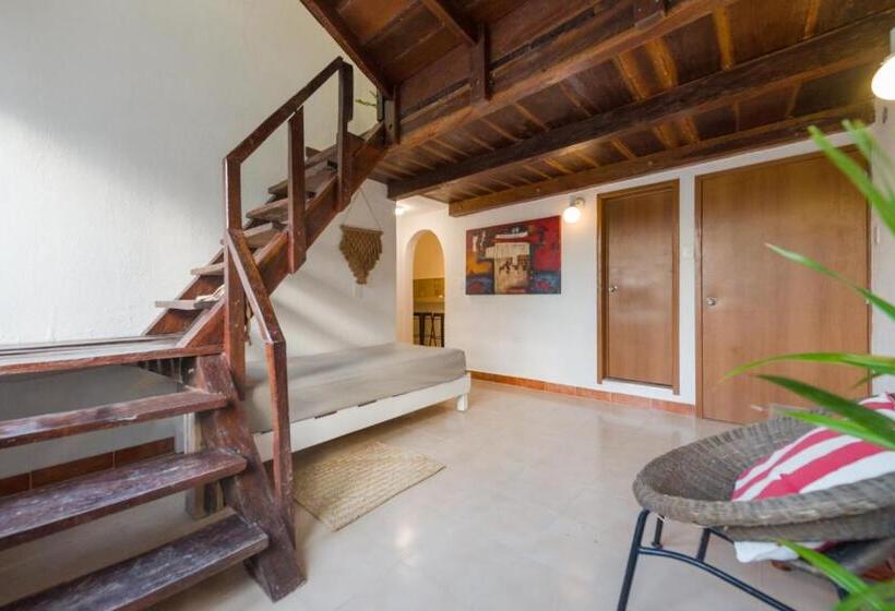 标准工作室, Caracol Puerto Morelos