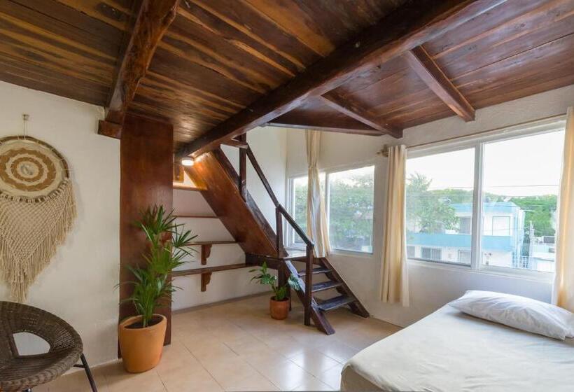 标准工作室, Caracol Puerto Morelos