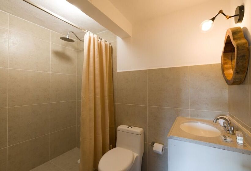 标准工作室, Caracol Puerto Morelos