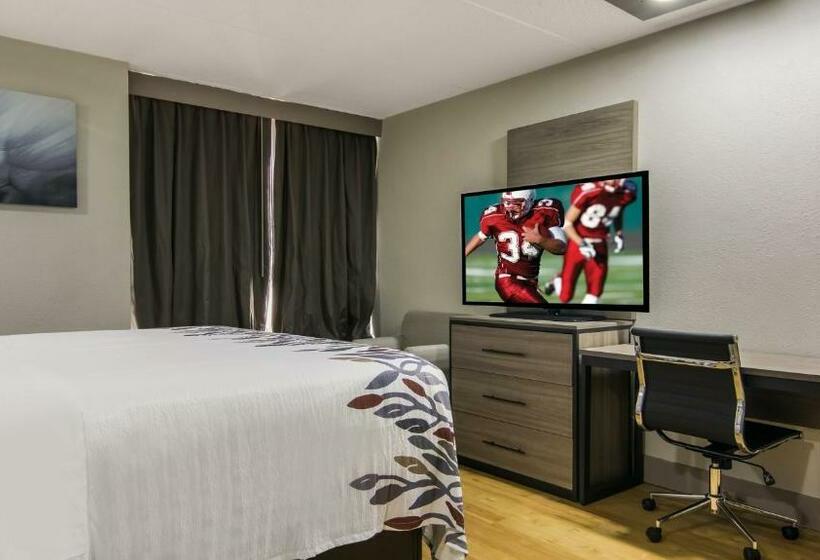 Номер Стандарт Адаптированный для Инвалидов, Red Roof Inn And Conference Center Chicago   N Aurora Naperville