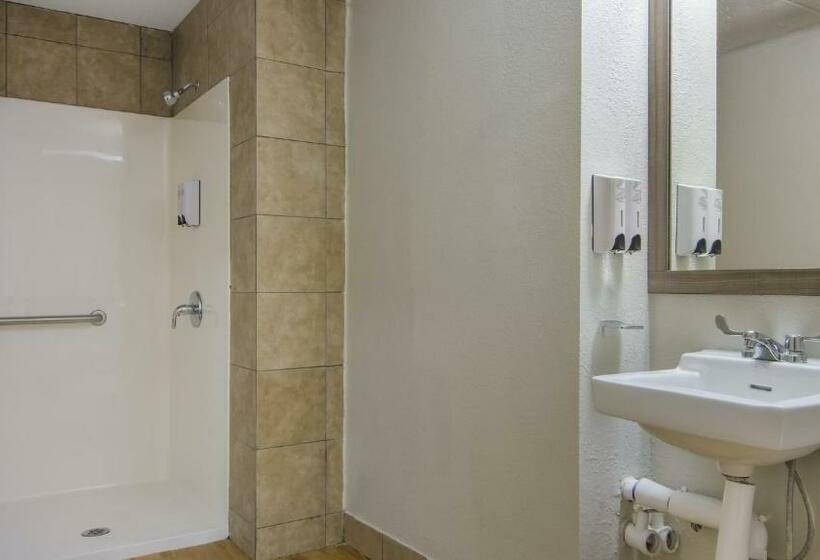 Standard Værelse Tilpasset til Handicappede, Red Roof Inn And Conference Center Chicago   N Aurora Naperville