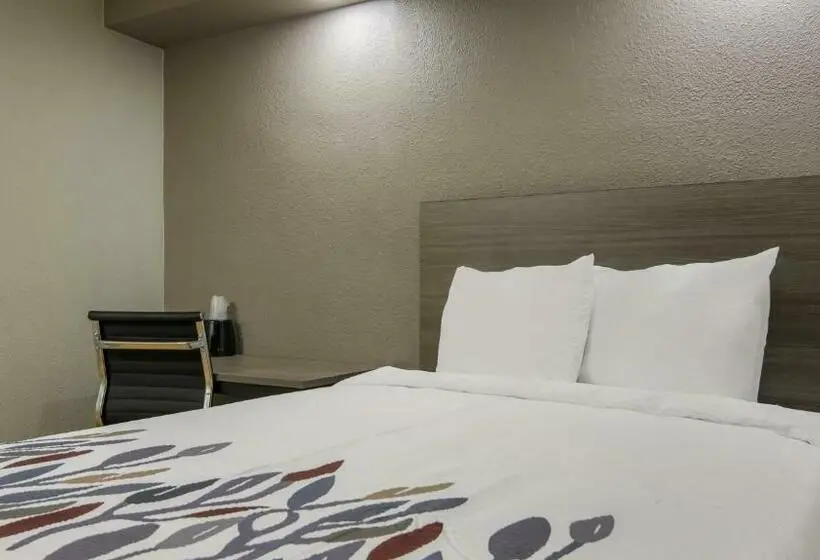 Standard-invahuone, Red Roof Inn And Conference Center Chicago N Aurora Naperville