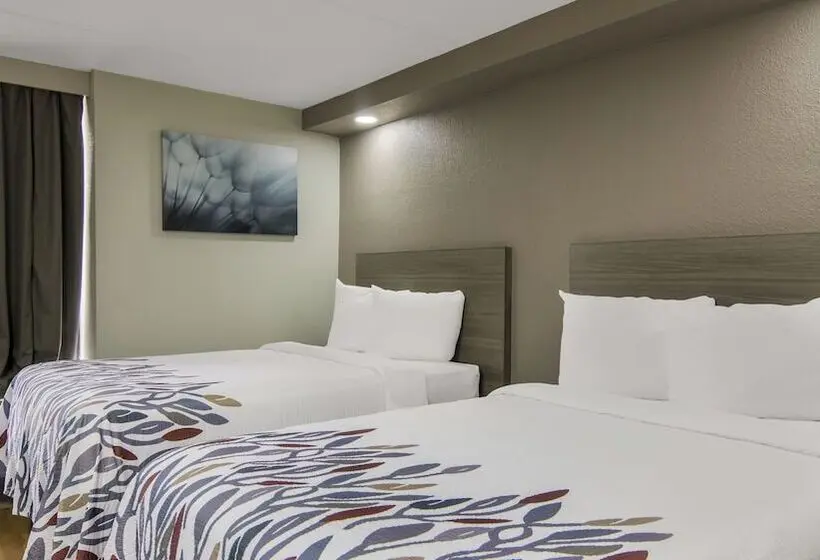 Standard-huone 2 Parivuodetta, Red Roof Inn And Conference Center Chicago N Aurora Naperville
