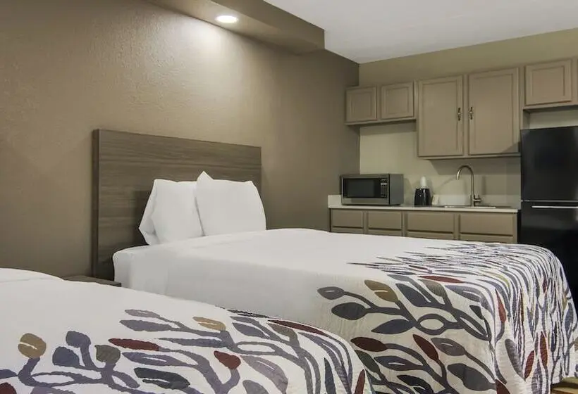 Standard-huone 2 Parivuodetta, Red Roof Inn And Conference Center Chicago N Aurora Naperville