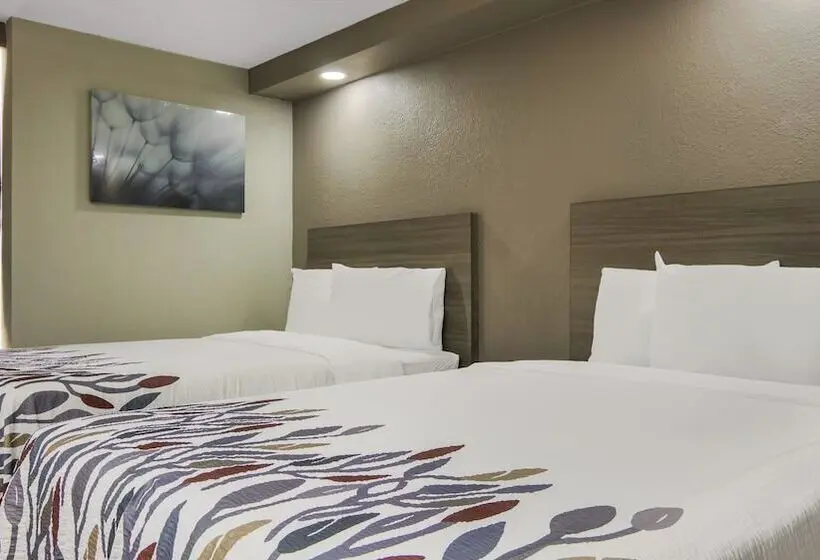 Standard-huone 2 Parivuodetta, Red Roof Inn And Conference Center Chicago N Aurora Naperville