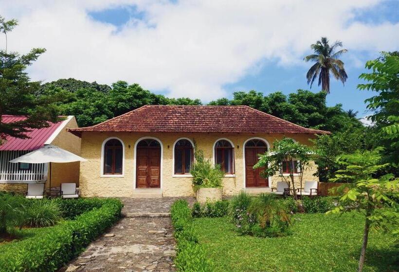 سوییت با چشمانداز باغ, Belo Monte Hotel And Museum