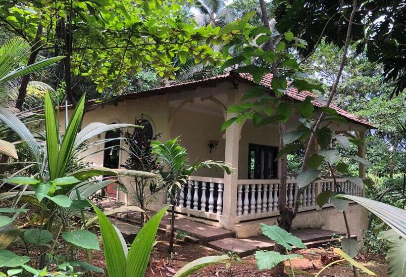 استودیوی استاندارد با چشمانداز دریا, Belo Monte Hotel And Museum