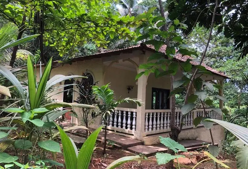 استودیوی استاندارد با چشم‌انداز دریا, Belo Monte Hotel And Museum