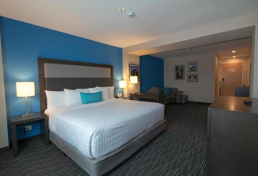 キングサイズベッドのデラックスルーム, Chn Hotel Monterrey Aeropuerto, Trademark By Wyndham