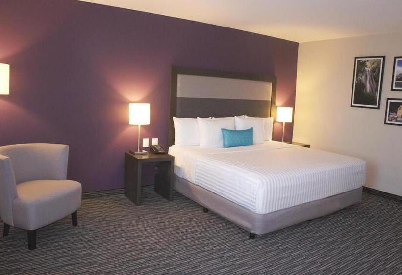 キングサイズベッドのデラックスルーム, Chn Hotel Monterrey Aeropuerto, Trademark By Wyndham