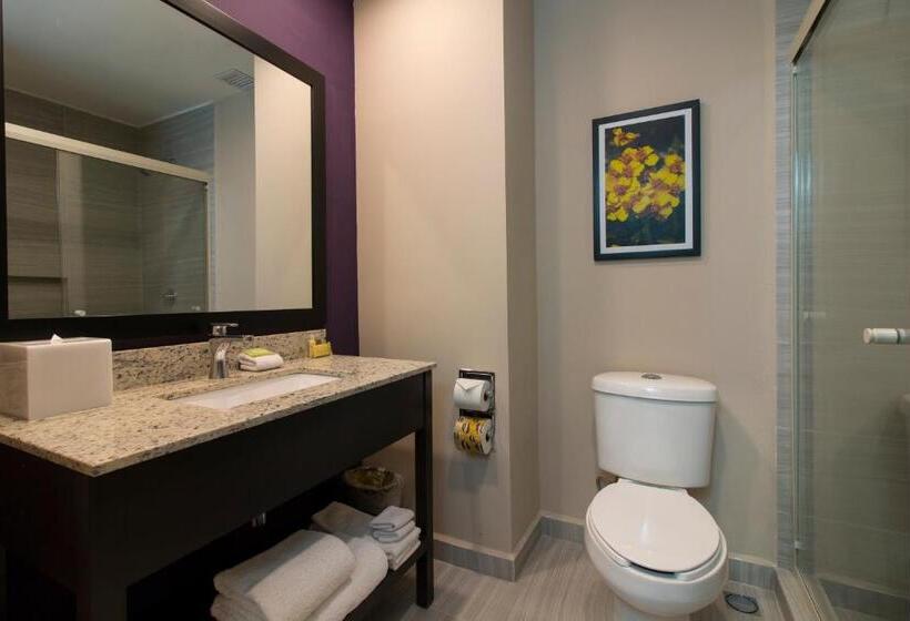 身障者適用キングサイズベッドルーム, Chn Hotel Monterrey Aeropuerto, Trademark By Wyndham