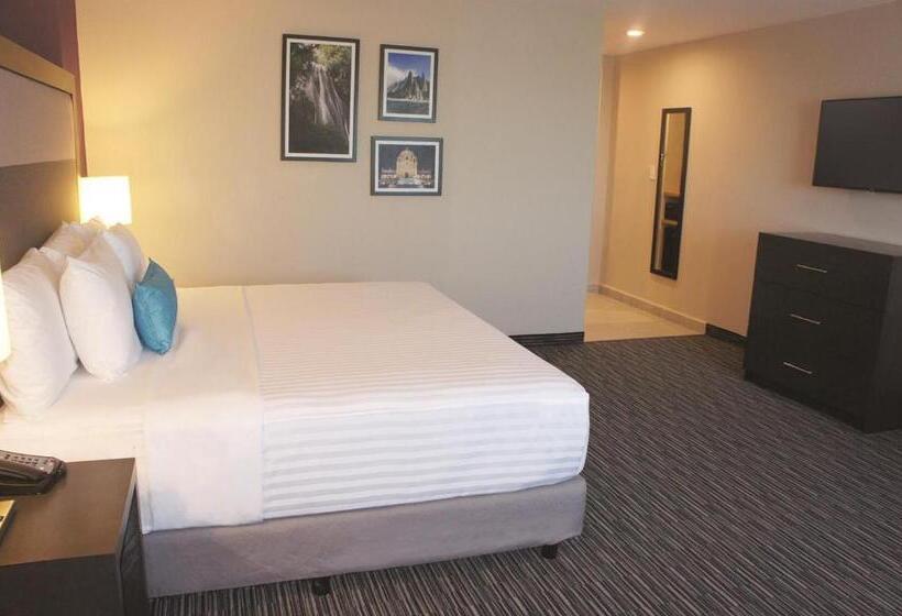 身障者適用キングサイズベッドルーム, Chn Hotel Monterrey Aeropuerto, Trademark By Wyndham