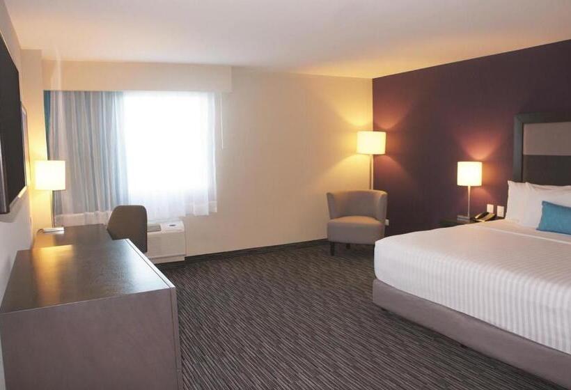 身障者適用キングサイズベッドルーム, Chn Hotel Monterrey Aeropuerto, Trademark By Wyndham