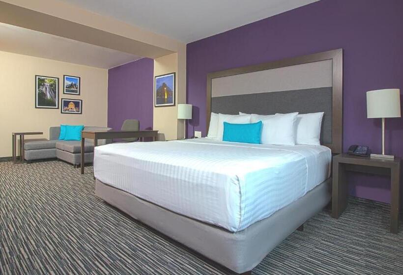 キングサイズベッドのスタンダードルーム, Chn Hotel Monterrey Aeropuerto, Trademark By Wyndham