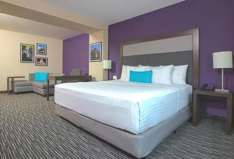 キングサイズベッドのスタンダードルーム, Chn Hotel Monterrey Aeropuerto, Trademark By Wyndham