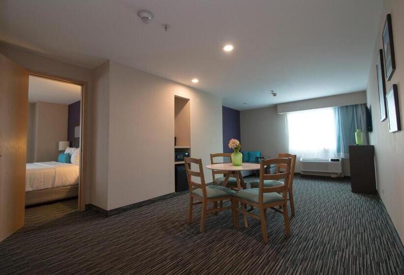 キングサイズベッドのスイートルーム, Chn Hotel Monterrey Aeropuerto, Trademark By Wyndham