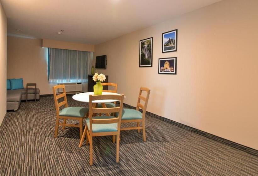 キングサイズベッドのスイートルーム, Chn Hotel Monterrey Aeropuerto, Trademark By Wyndham