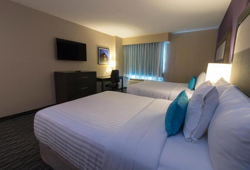 スタンダードルーム, Chn Hotel Monterrey Aeropuerto, Trademark By Wyndham