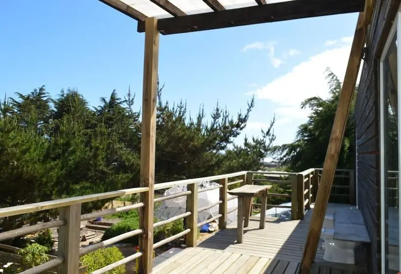 1ベッドルームアパートメント, Sirena Insolente Hostel & Suites