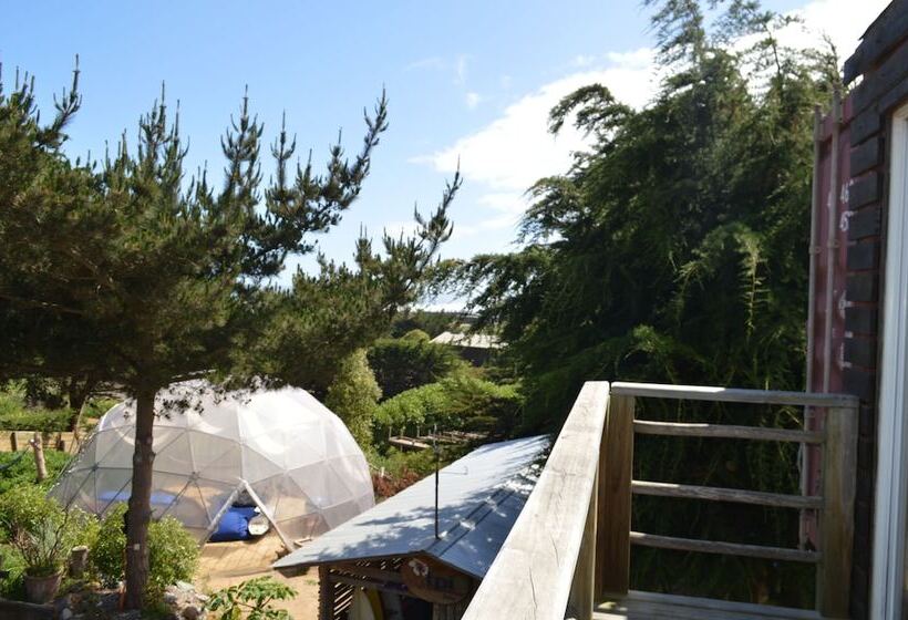 １ベッドルームアパートメント, Sirena Insolente Hostel & Suites