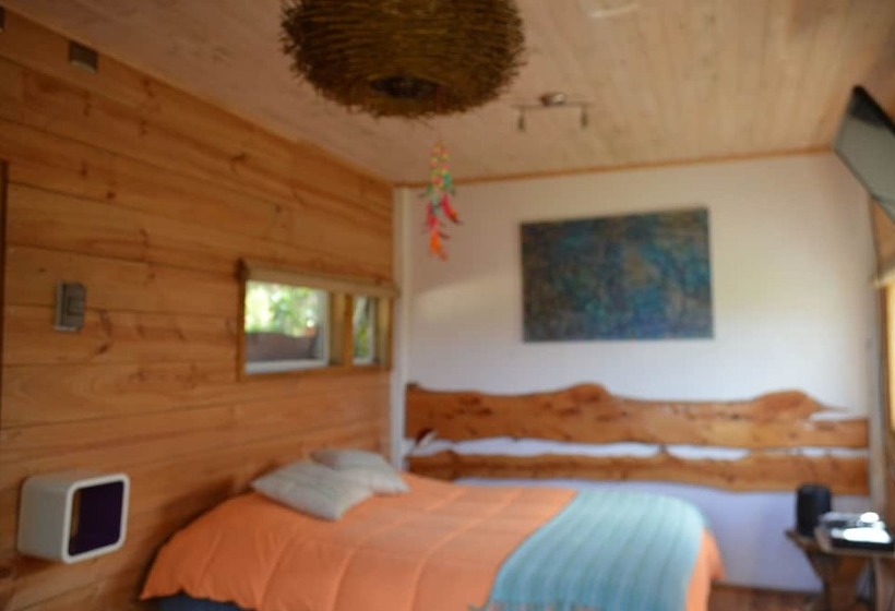 スタンダードルーム, Sirena Insolente Hostel & Suites