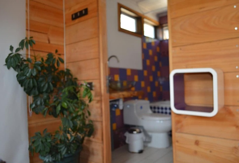 スタンダードルーム, Sirena Insolente Hostel & Suites