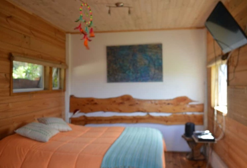 スタンダードルーム, Sirena Insolente Hostel & Suites