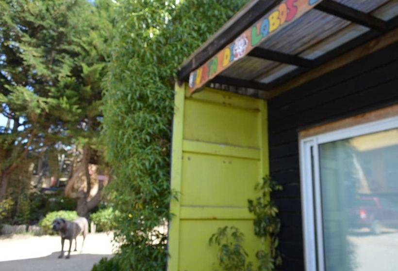 スタンダードルーム, Sirena Insolente Hostel & Suites