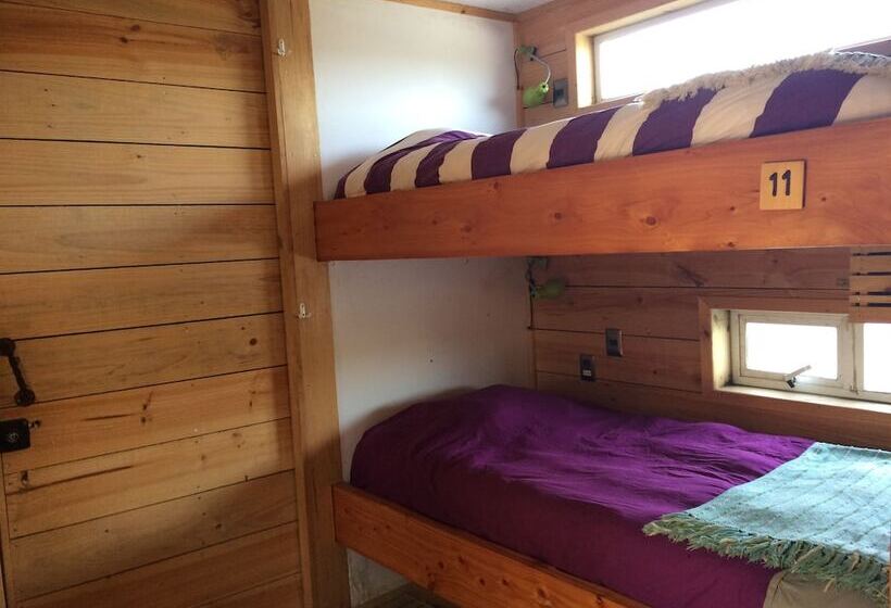 ルームシェアのワンベッド, Sirena Insolente Hostel & Suites