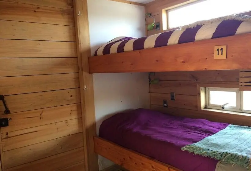 ルームシェアのワンベッド, Sirena Insolente Hostel & Suites