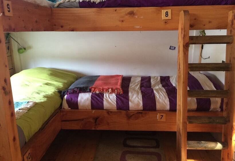 ルームシェアのワンベッド, Sirena Insolente Hostel & Suites