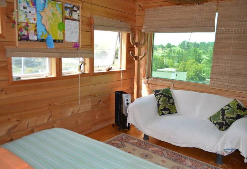 スタンダードルーム, Sirena Insolente Hostel & Suites