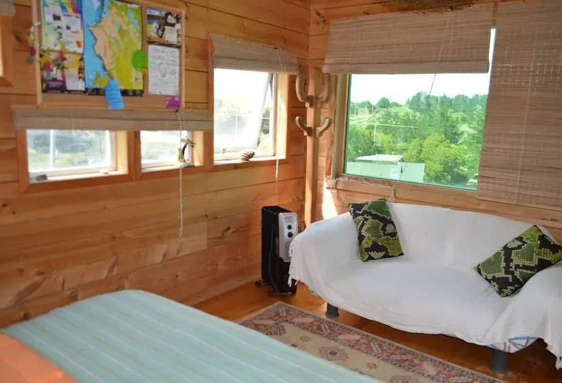 スタンダードルーム, Sirena Insolente Hostel & Suites