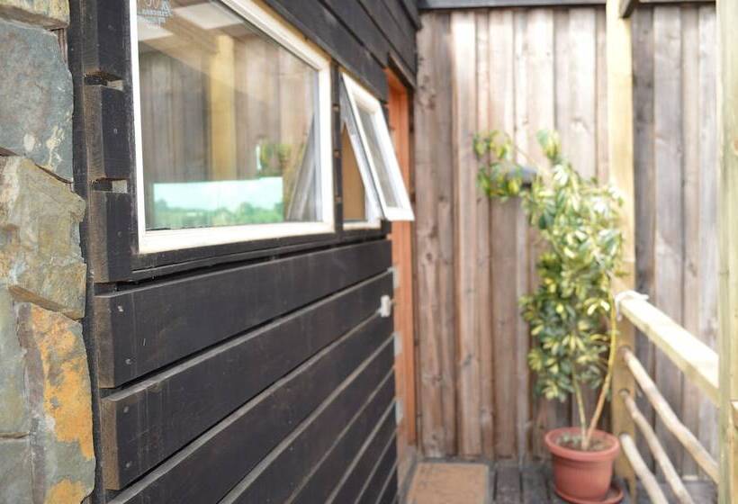 スタンダードルーム, Sirena Insolente Hostel & Suites