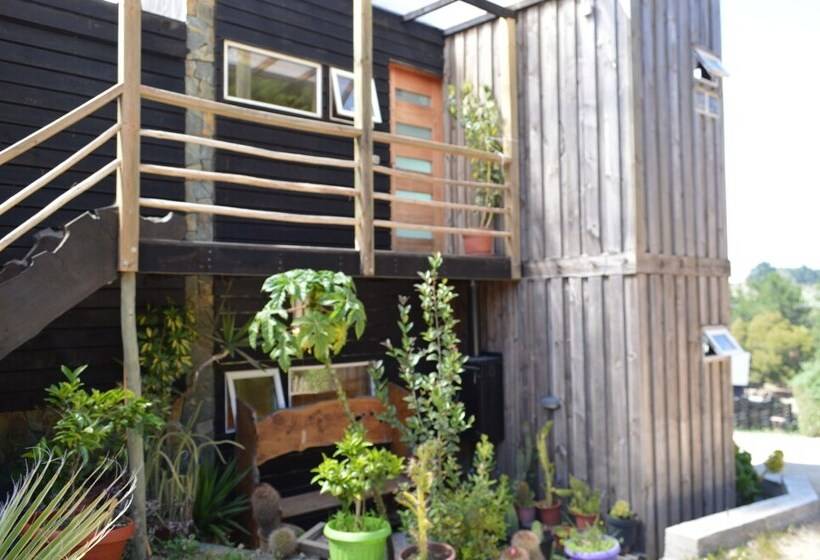 スタンダードルーム, Sirena Insolente Hostel & Suites