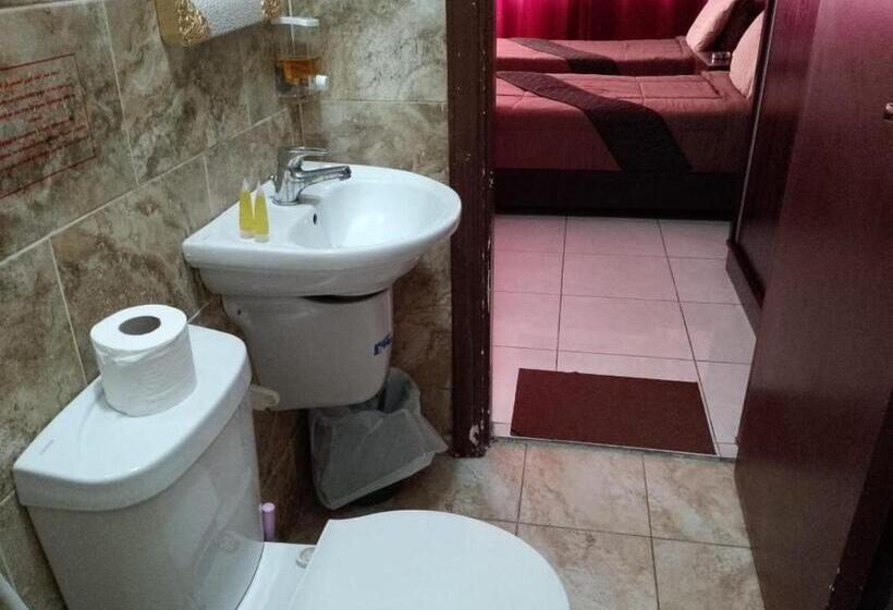 اتاق استاندارد, Amir Palace Hotel