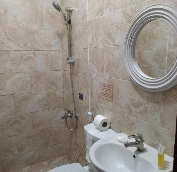 Economy Triple Room, Amir Palace Hotel