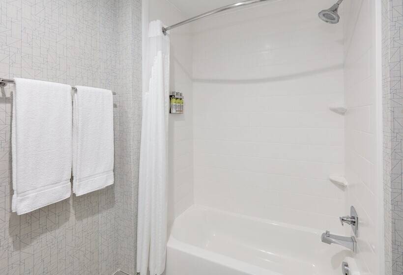 Номер Стандарт, Holiday Inn Express & Suites Dallas Nw   Farmers Branch, An Ihg