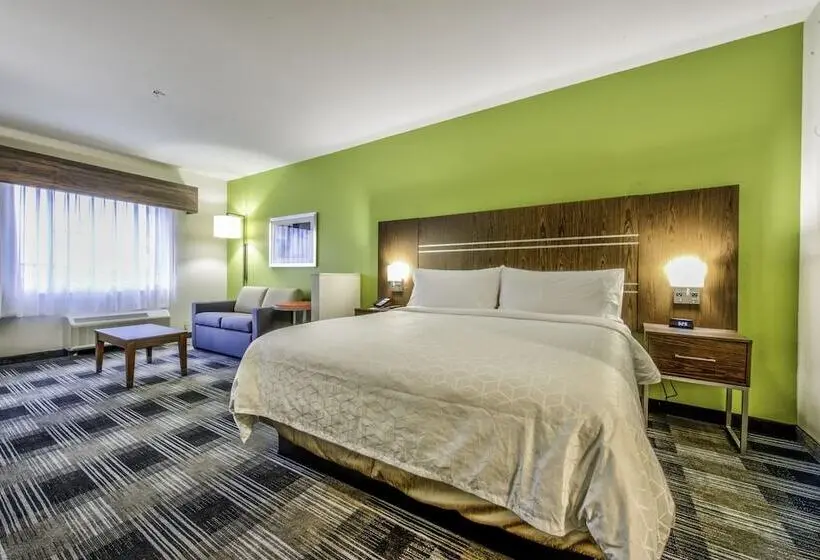 身障者適用スイートルーム, Holiday Inn Express & Suites Dallas Nw   Farmers Branch, An Ihg